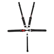 Simpson Latch and Link Bolt-In 5-Point Harness